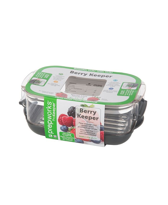 Progressive PrepWorks Small Berry ProKeeper - Shop Food Storage at