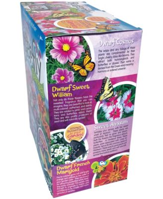 Toys By Nature Biosphere Terrarium Bountiful Butterfly Garden Plant Kit