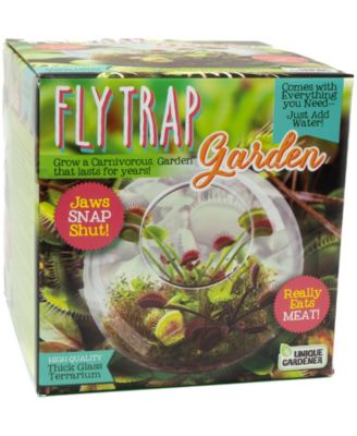 Unique Gardener Glass Terrarium Fly Trap Garden Plant Kit