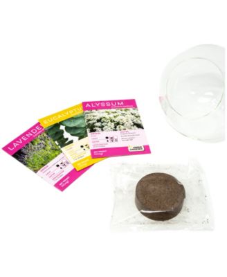 Unique Gardener Glass Terrarium Crystal Glass Garden Plant Kit