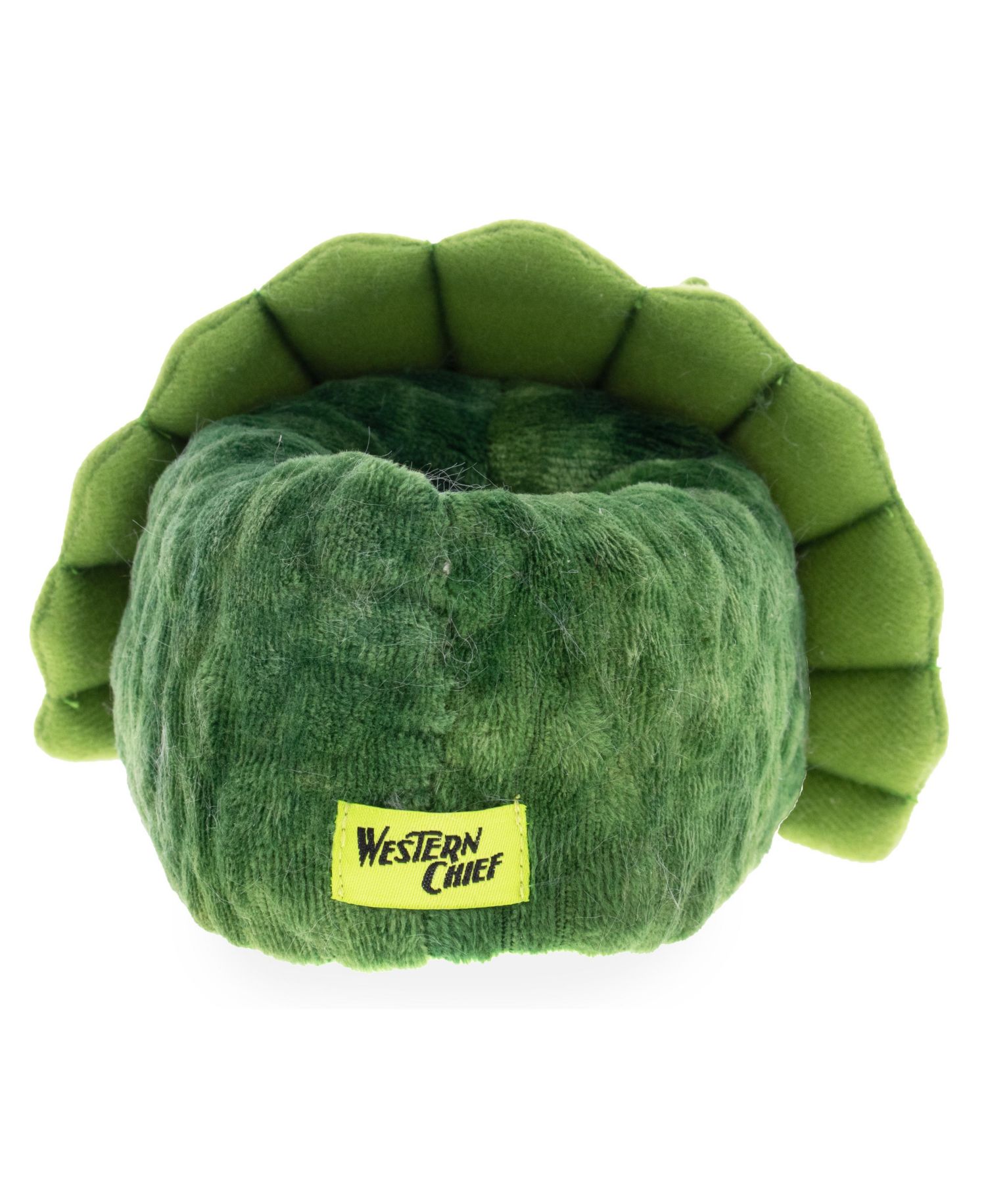 Toddler Little Boy's and Big Boy's Dreamasaurus Slipper