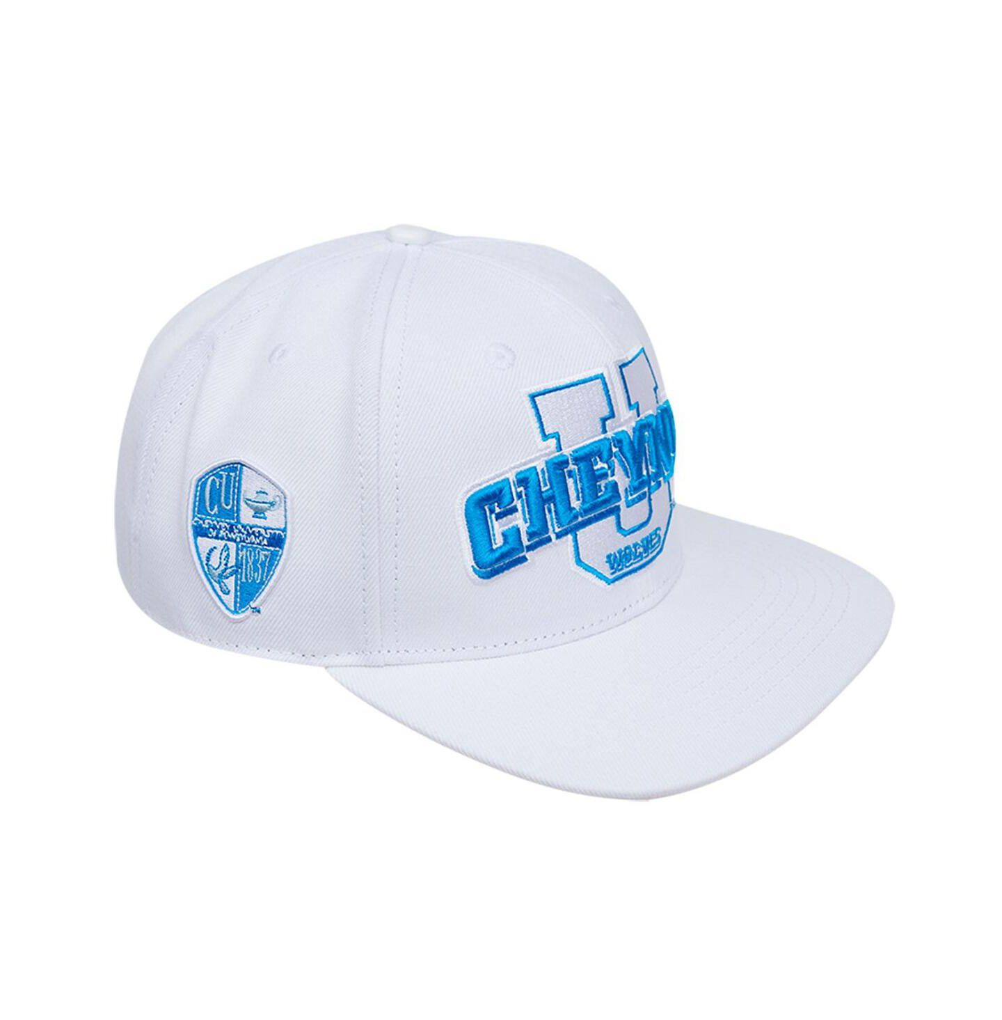 Мужская кепка Pro Standard White Cheyney Wolves Evergreen Wool Snapback Hat — фото 1