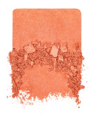 Artist Longwear Skin-Fusing Powder Blush