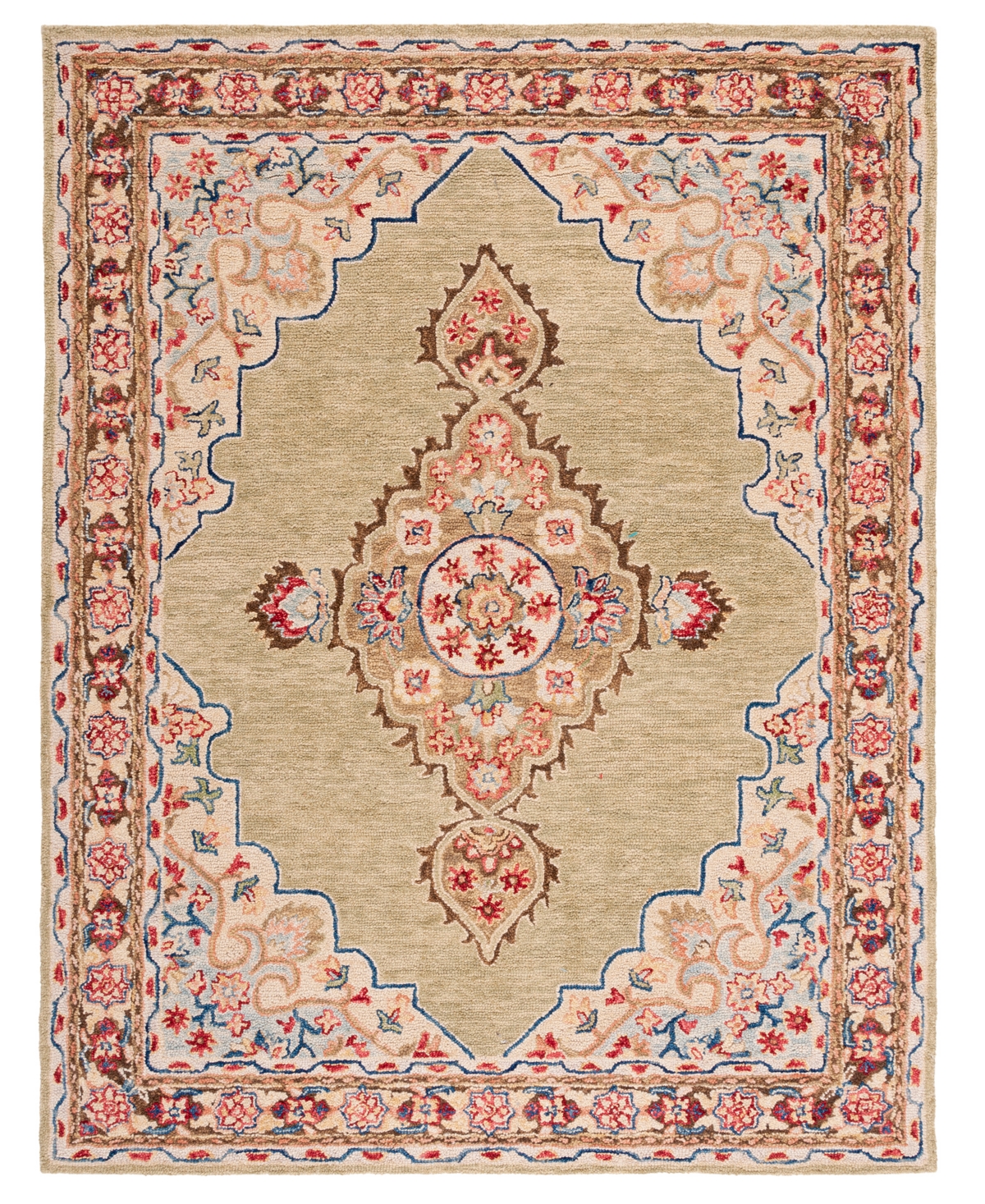 Safavieh Aurora APN506 9' x 12' Area Rug - Sage, Brown