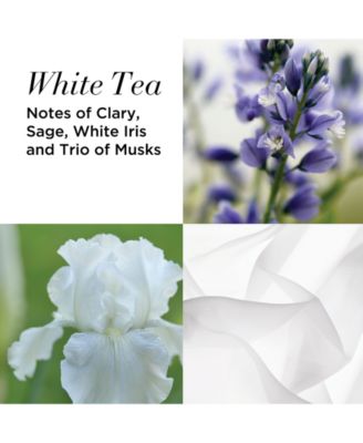 Elizabeth Arden 3-Pc. Fragrance Gift Set