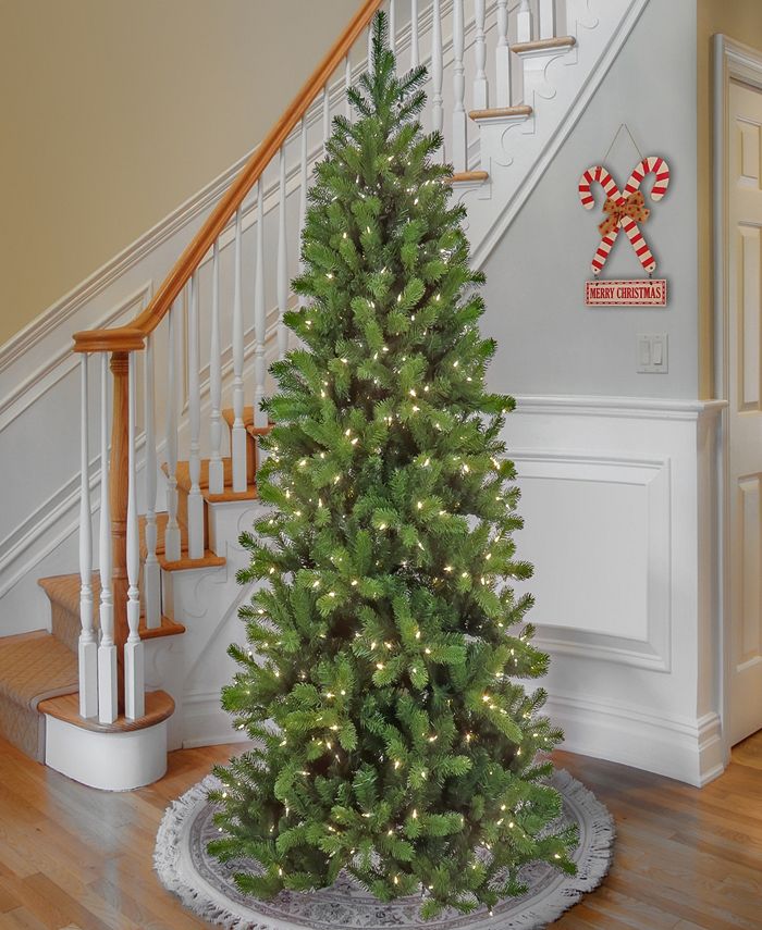 National Tree Company 7.5' Downswept Douglas Slim Fir Tree with Warm