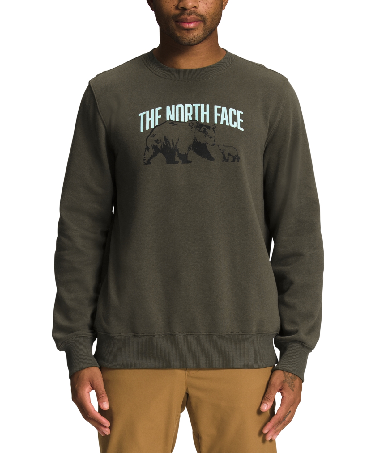Shop The North Face Men's Places We Love Crew Graphic Sweatshirt In New Taupe Green,tnf White