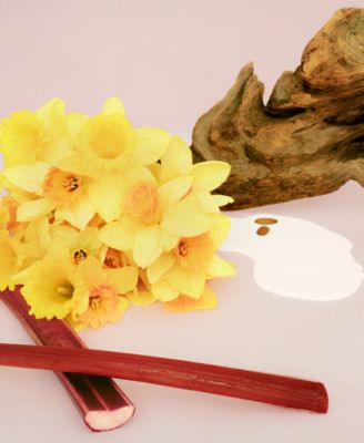 Marc Jacobs Perfect Charm Collector Edition Eau de Parfum, 1.6 oz.