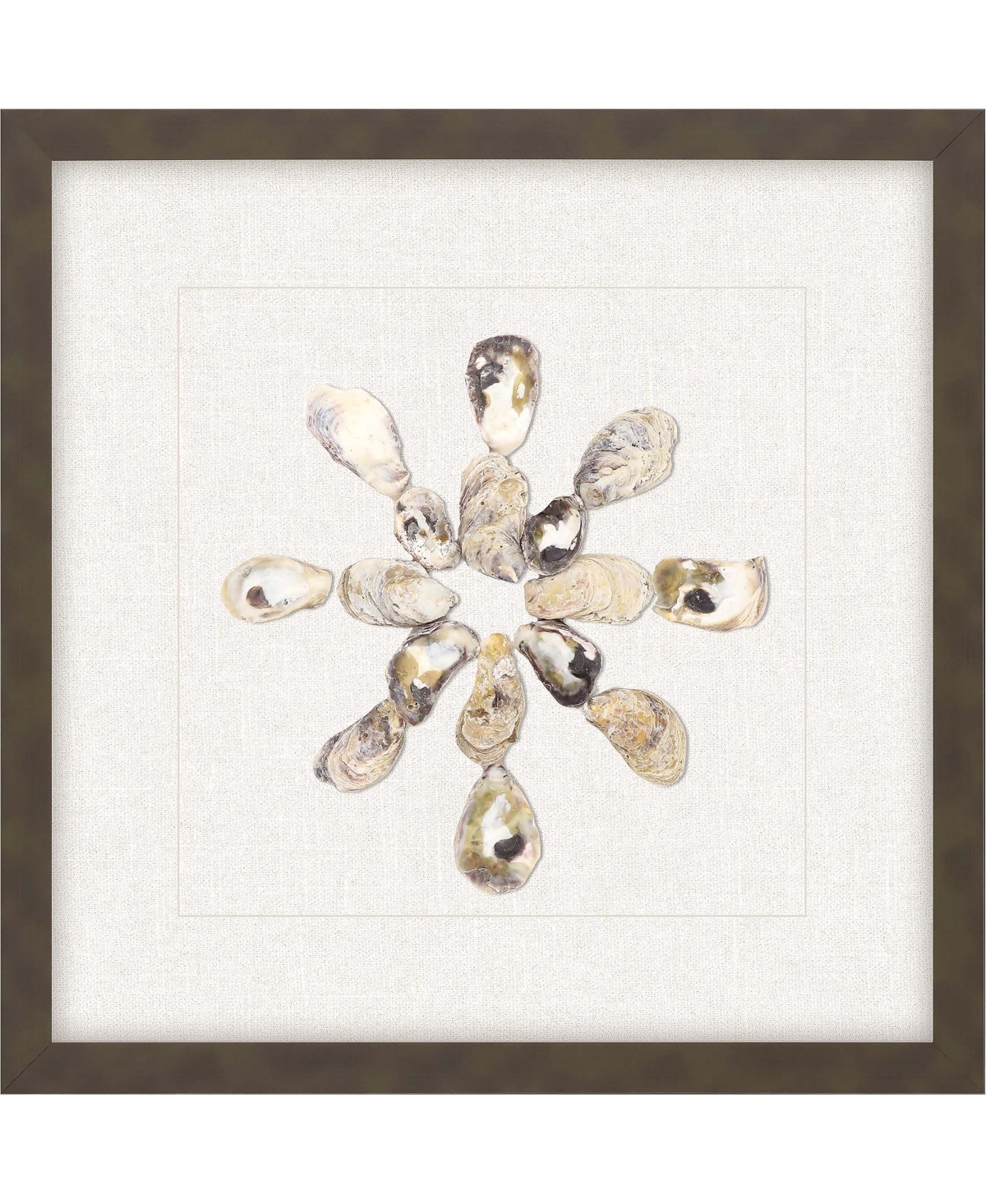 Paragon Picture Gallery Oyster Shell I Framed Art In Beige