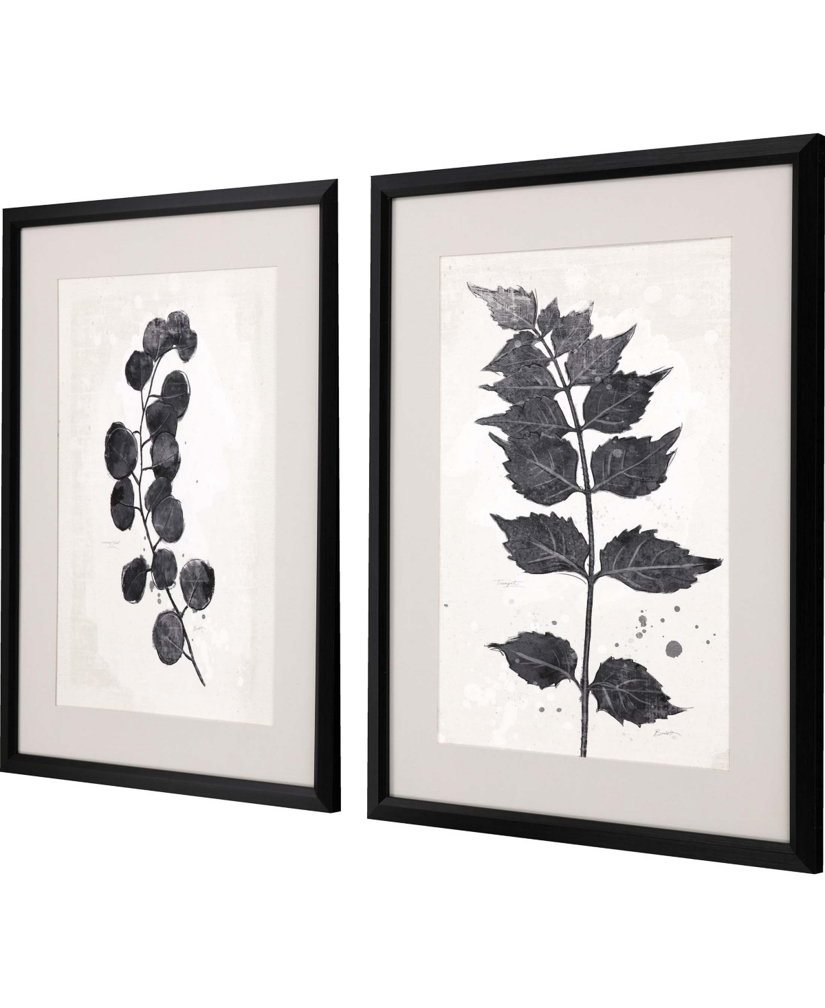 Shop Paragon Picture Gallery Garden Vines I Framed Art, Set Of 2 In Black