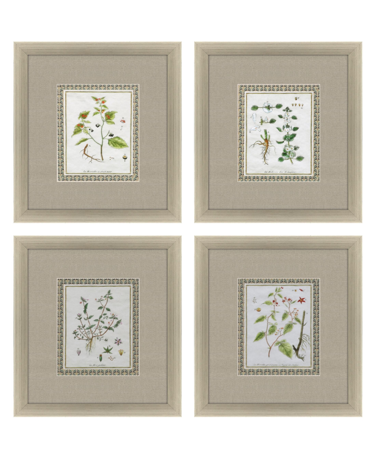 Paragon Picture Gallery La Passerage Ii Framed Art, Set Of 4 In Green