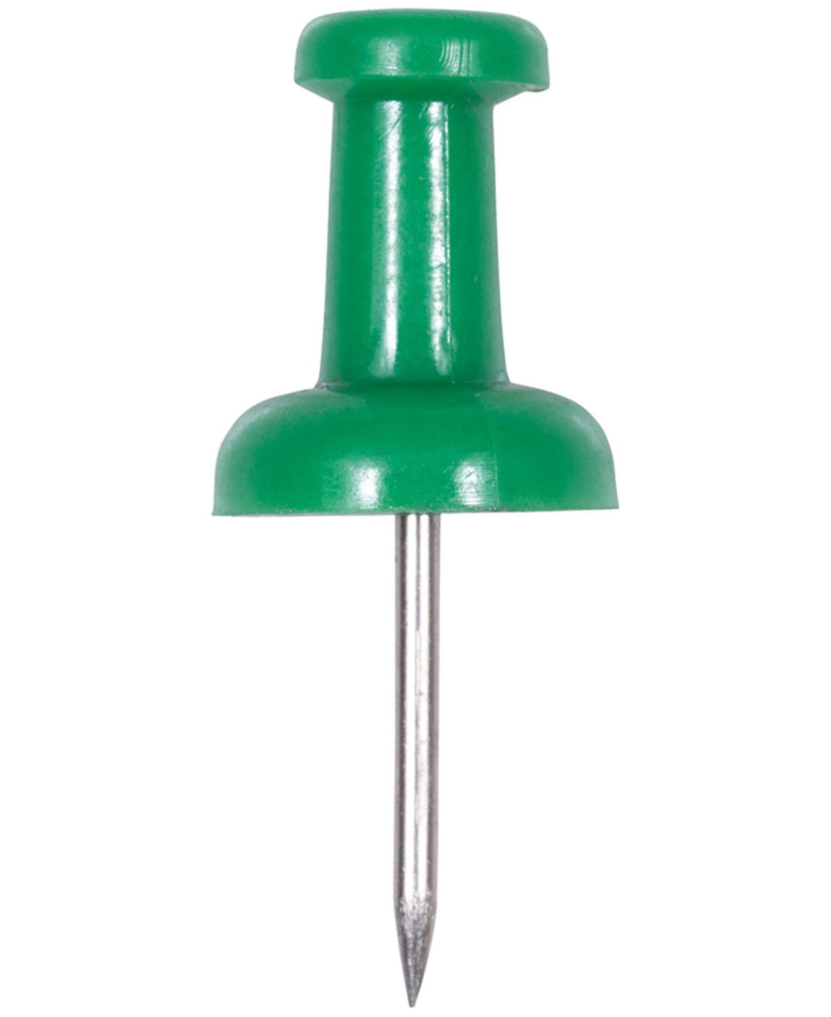 Shop Jam Paper Colorful Push Pins In Green