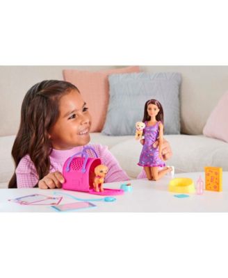 Doll and Accessories Pup Adoption Playset with Doll, 2 Puppies and Color-Change