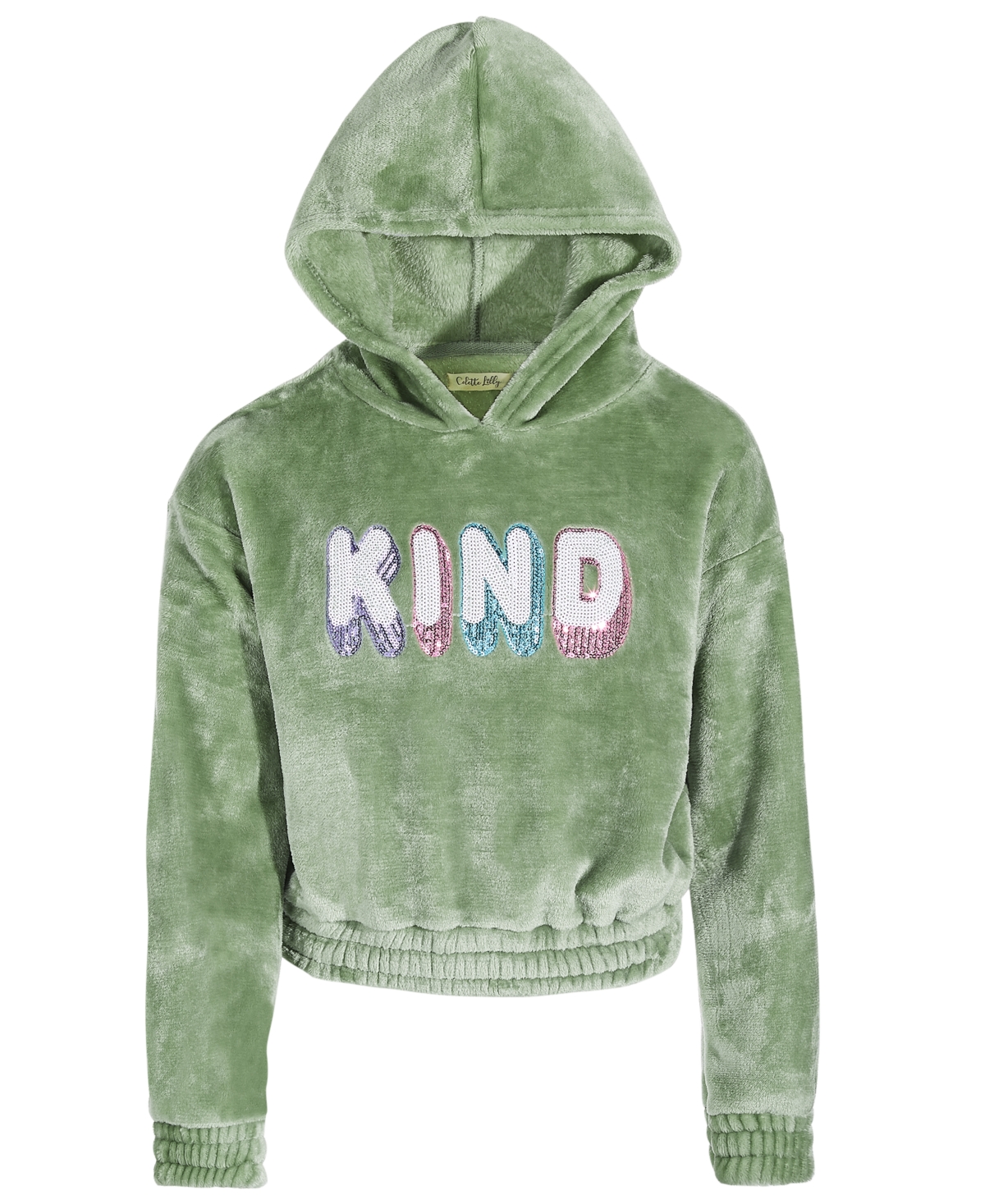 Colette Lilly Kids' Big Girls Cozy Sequined Pullover Hoodie In Hedge Green
