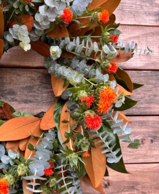 Fresh Real Magnolia, Safflower and Baby Blue Wreath