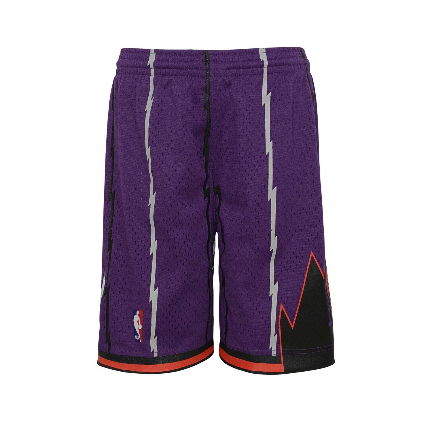 Big Boys Purple Toronto Raptors Hardwood Classics Swingman Shorts