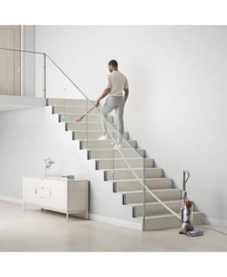 Ball Animal 3 Extra Upright Vacuum