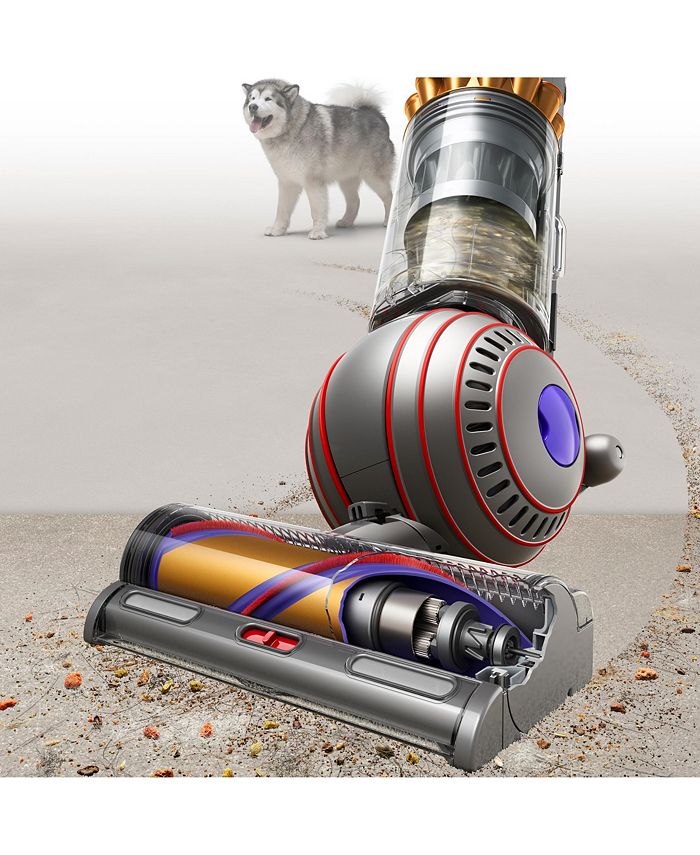 Dyson Ball Animal 3 Complete Upright Vacuum - Macy's