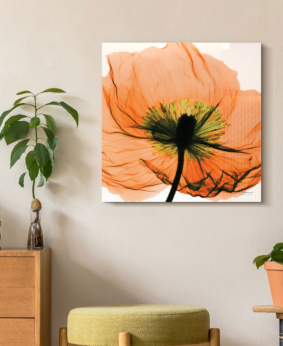 Empire Art Direct "poppy Orange" Frameless Free Floating Tempered Glass Panel Graphic Wall Art, 24" X 24" X 0.2" In Orange