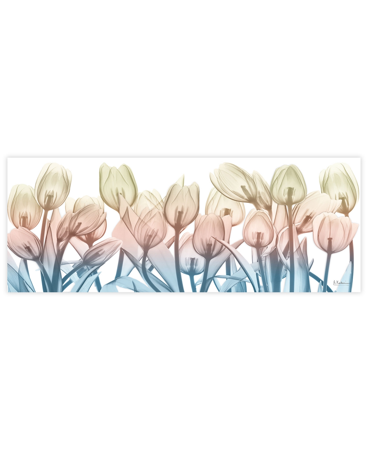 Empire Art Direct "spring Blooms" Frameless Free Floating Tempered Glass Panel Graphic Wall Art, 24" X 63" X 0.2" In Multi-color