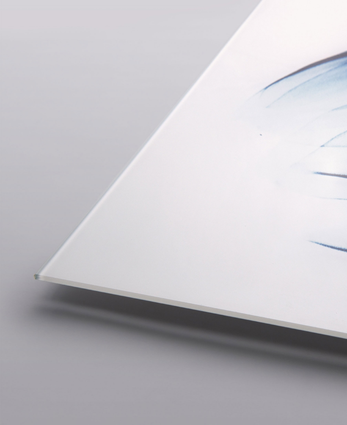 EMPIRE ART DIRECT "TWO BLUE TULIPS" FRAMELESS FREE FLOATING TEMPERED GLASS PANEL GRAPHIC WALL ART, 48" X 24" X 0.2" 