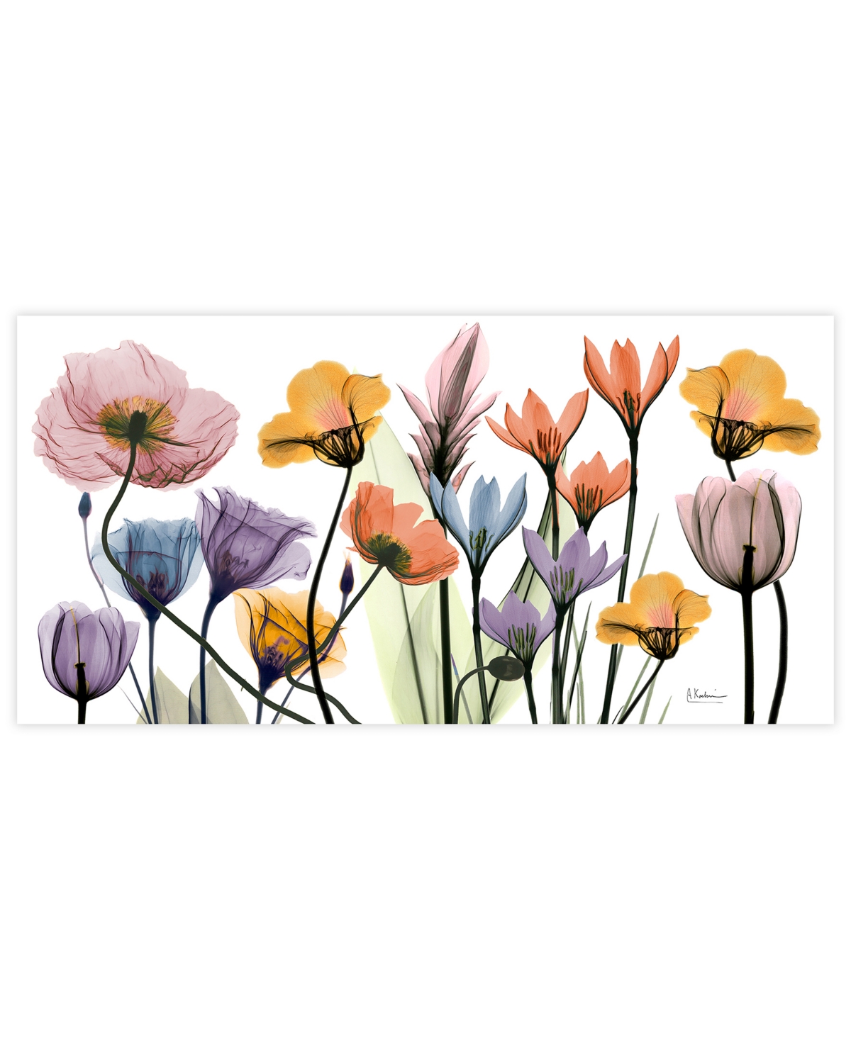 Empire Art Direct "flowerscape Portrait" Frameless Free Floating Tempered Glass Panel Graphic Wall Art, 24" X 48" X 0. In Multi-color