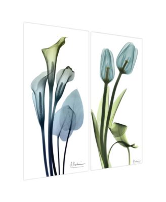 "Calla LIly and Blue TuLIps" Frameless Free Floating Tempered Glass Panel Graphic Wall Art Set of 2, 48" x 24" x 0.2" Each
