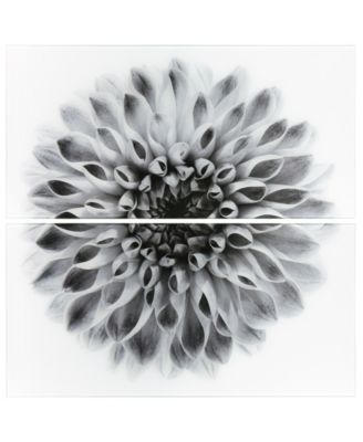 "Dahlia Ab" Frameless Free Floating Tempered Glass Panel Graphic Wall Art Set of 2, 72" x 36" x 0.2" Each