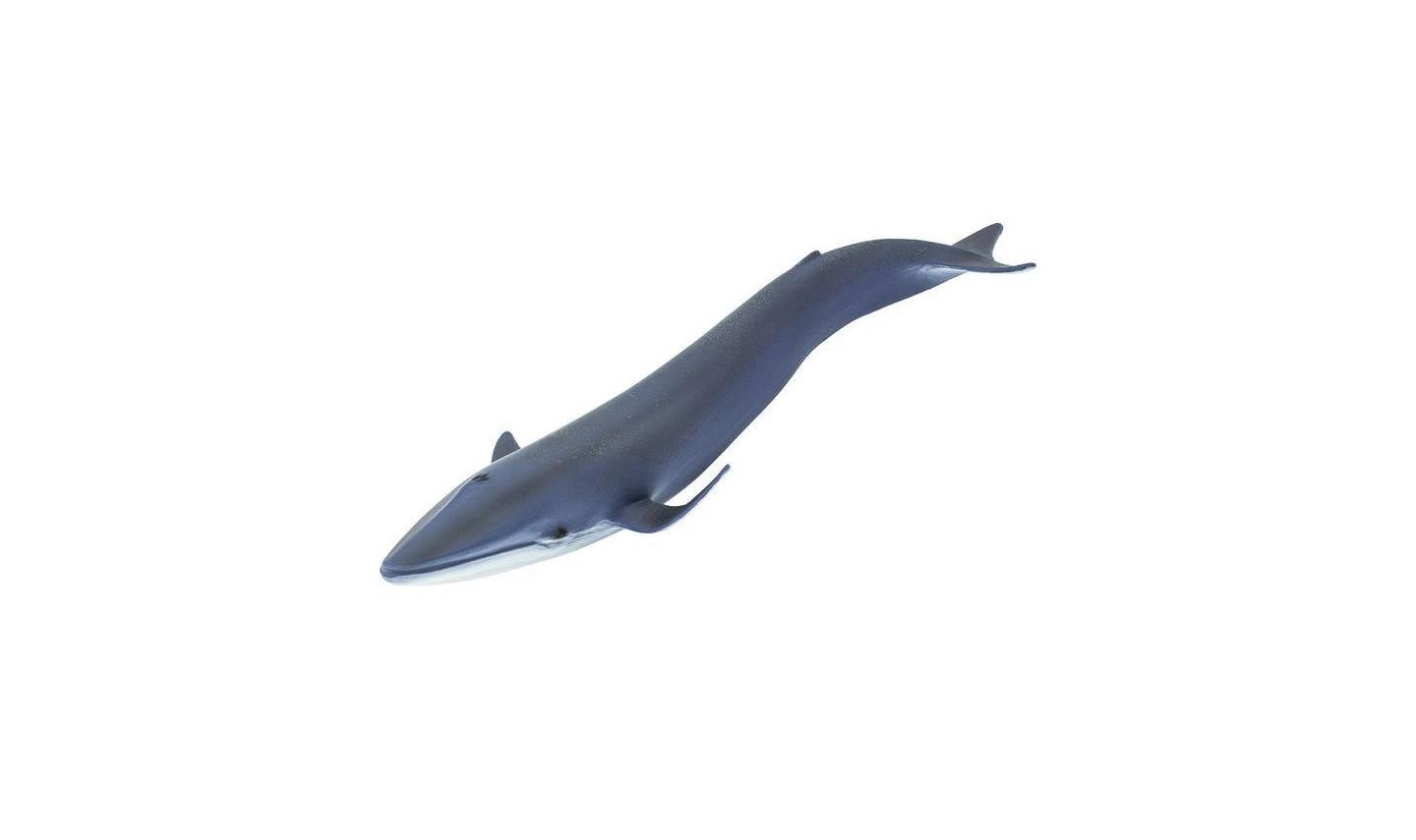 Детская игрушка Safari Ltd Blue Whale Sea Life — фото 2
