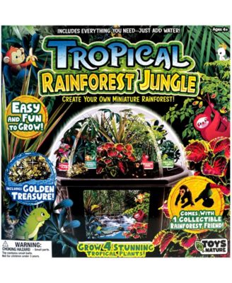 Biosphere Terrarium - Tropical Rainforest Jungle