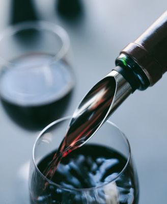 Grand Cru Stainless Steel Wine Pourer