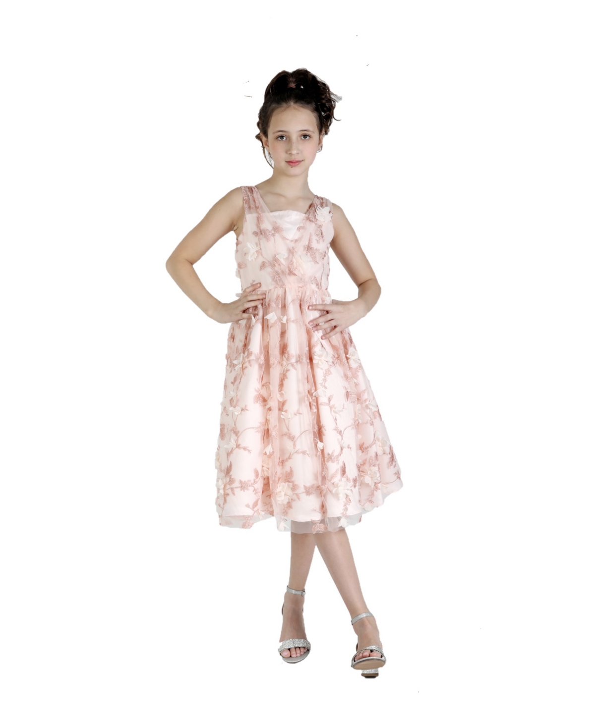 Shop Christian Siriano Big Girls A-line Dress With 3d Floral Embroidery In Blush