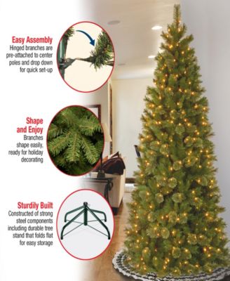 National Tree Company National Tree Tacoma Pine Slim With 500 Clear Lights