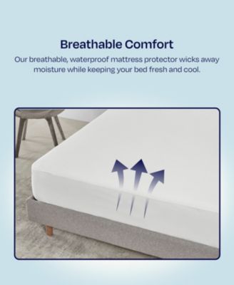 Premium Waterproof Mattress Protector for Twin Size Bed -Soft, Cool, Noiseless, Fitted Mattress Cover, 8-20 inch Deep Pockets by California Design Den