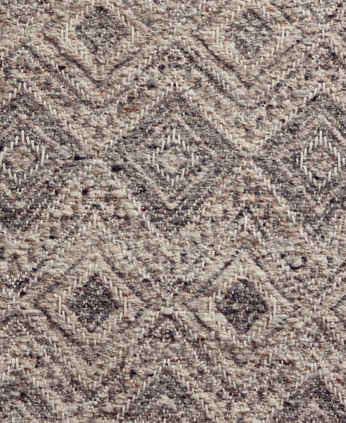 Loloi Raven Rav-02 7'9" x 9'9" Area Rug