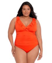 Trendy Plus Size Lucia Tummy-Control Swimdress