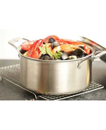 All-Clad D55508 D5 Polished Non-stick 5-Ply 8-qt Stock Pot with Lid & 14in  Ladle