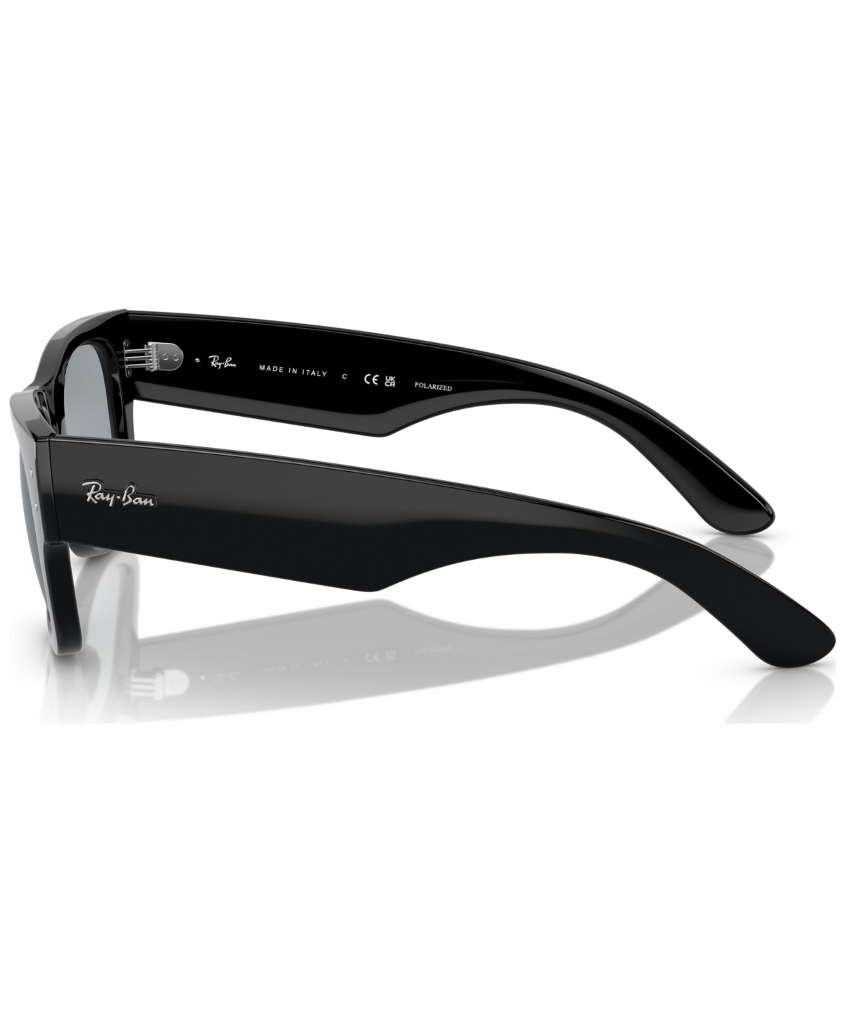 Ray Ban Ray In Black