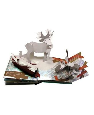 Winter's Tale- An Original Pop-Up Journey by Robert Sabuda