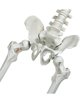 2PCS Pirate Life Size Skeleton Poseable Full Size Halloween Party Decoration Haunted House 2024