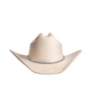 Stetson Hat Womens L Taupe Macy's Afton Ladies NEW*