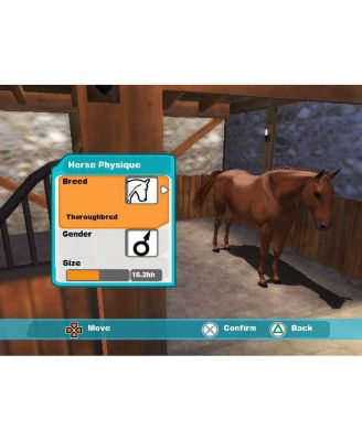 Lucinda Green's Equestrian Challenge - PlayStation 2