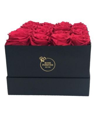 Rose Forever