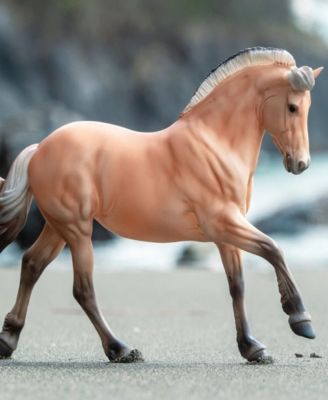 Horses Sweetwater Zorah Bell "Zoobie"