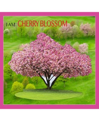 Madd Capp Konturpuzzle Junior – Lama, 100 Teile, 54,6x83,8 Cm, Für Kinder Ab 5