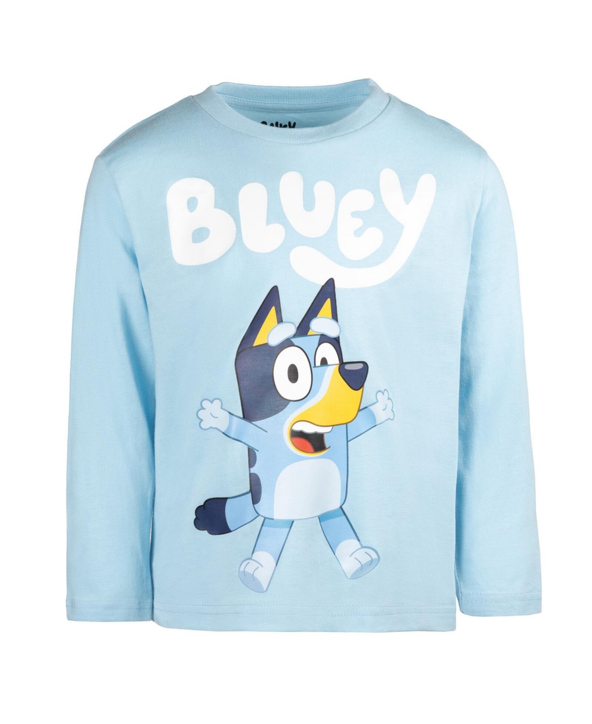 Bluey Toddler Boys 3 Pack T-Shirts -blue/gray