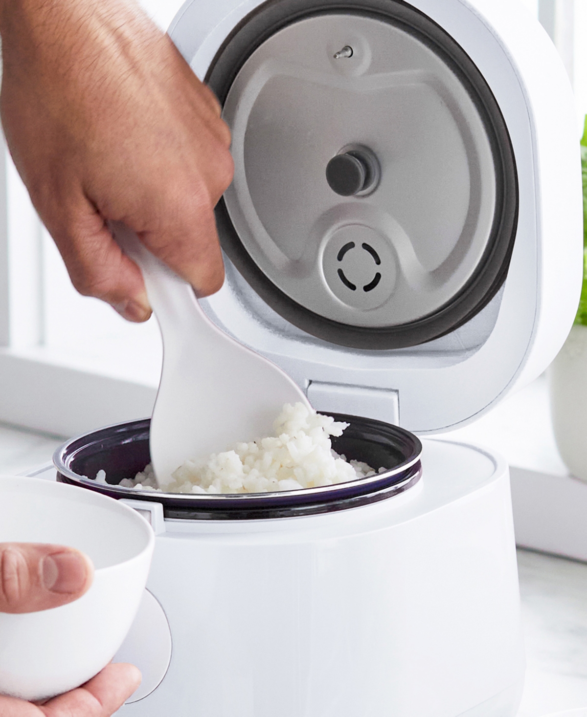 Greenlife Healthy Ceramic Nonstick Rice And Grains Cooker In White