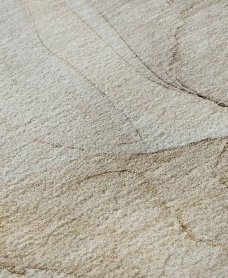 Odyssey Washable OY8 8' x 8' Round Area Rug