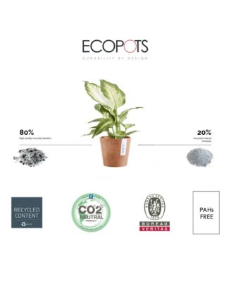 Amsterdam Modern Round Indoor and Outdoor Planter, 4-Inch