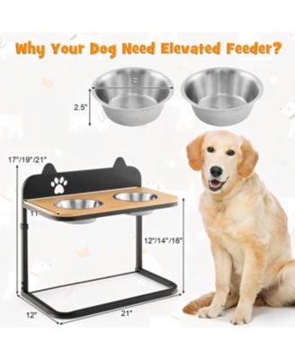 Dog Bowl Stand with 2 Stainless Steel Food Water Bowls